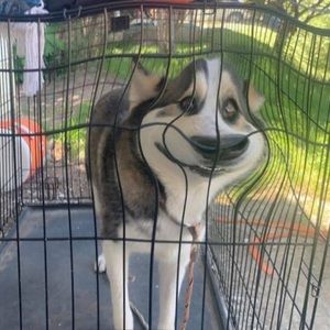 Meet your Posher, Jannae